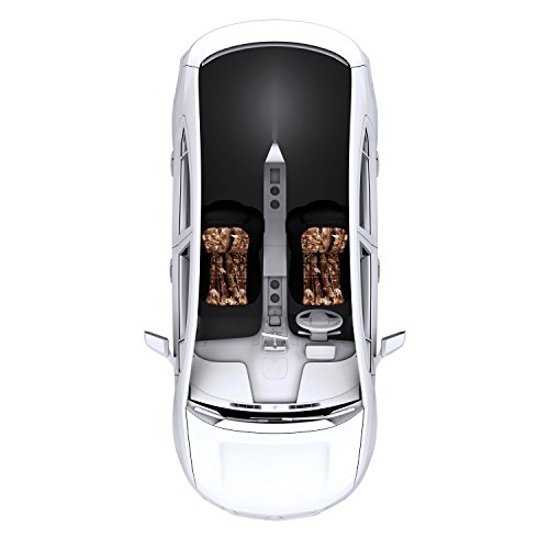 Amazon.com: Bully: Interior Accessories